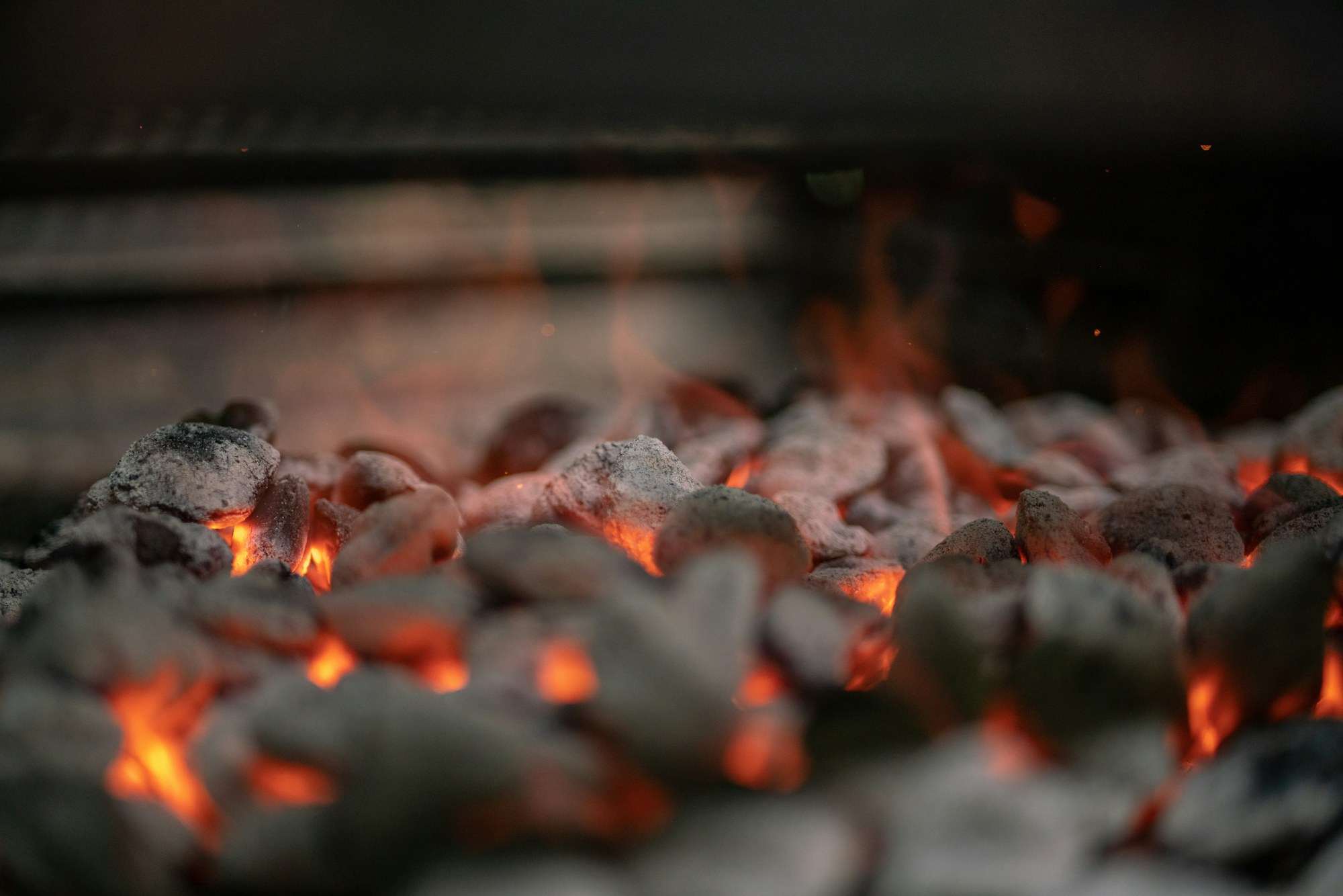 Leña de encina ardiendo hasta hacerse brasa